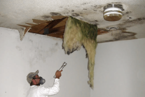 Ceiling-Mold-Inspection.png  