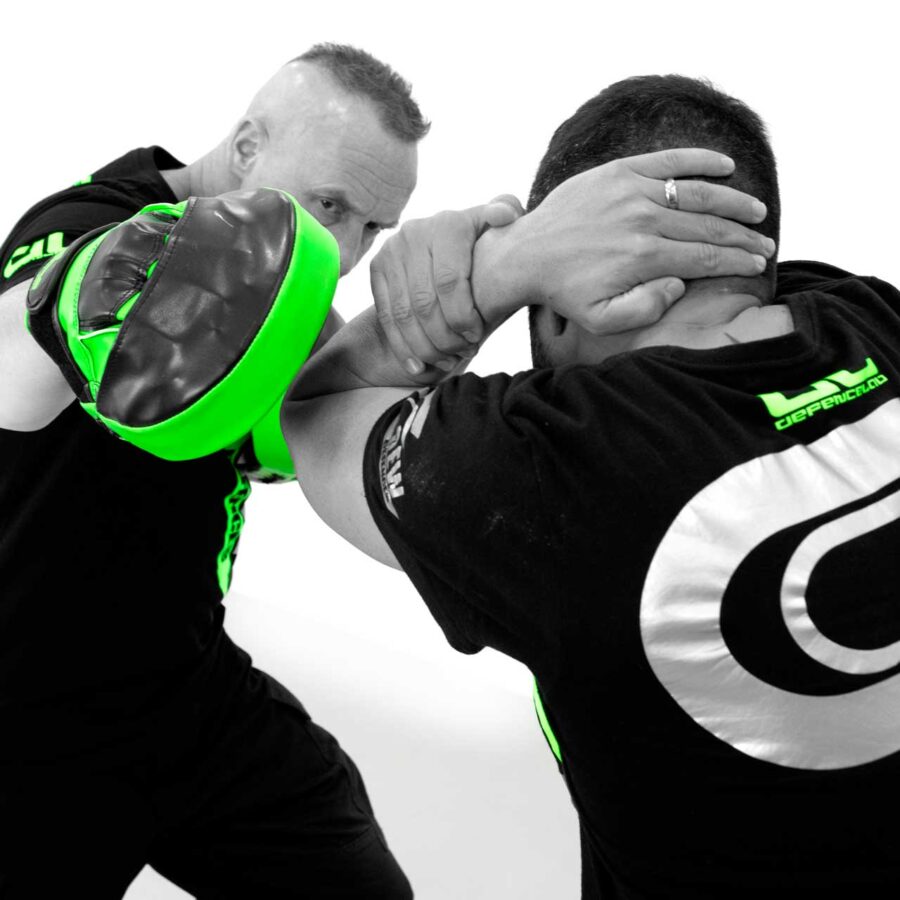 DL Stafford Martial Arts WagPod dl-stafford-martial-arts-wagpod