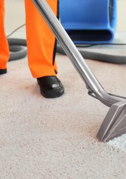Carpet Cleaning .jpg  