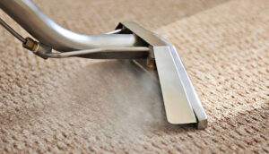 Carpet Cleaning in Ashgrove.jpg  