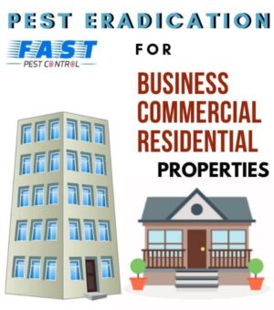 PEST-CONTROL-COMMERCIAL-RESIDENTIAL-PLACE-1.jpg  