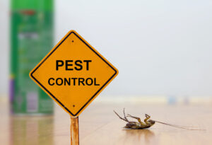capture pest control 1.jpg  