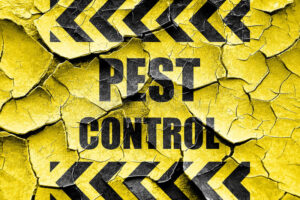 Pest Control Alexandria 1.jpg  