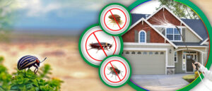 pest control services.jpg  