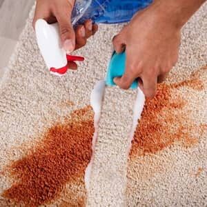 rug-stain-removal.jpg  