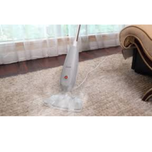 Carpet Steam Cleaning  (2).png  