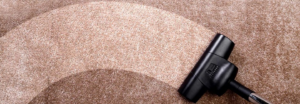 carpet cleaning (2).png  