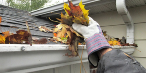 7-Benefits-of-Gutter-Cleaning-.png  