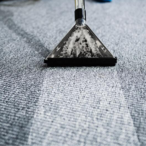 Carpet Cleaning (8).png  