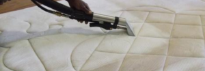 Mattress Cleaning  (1).png  