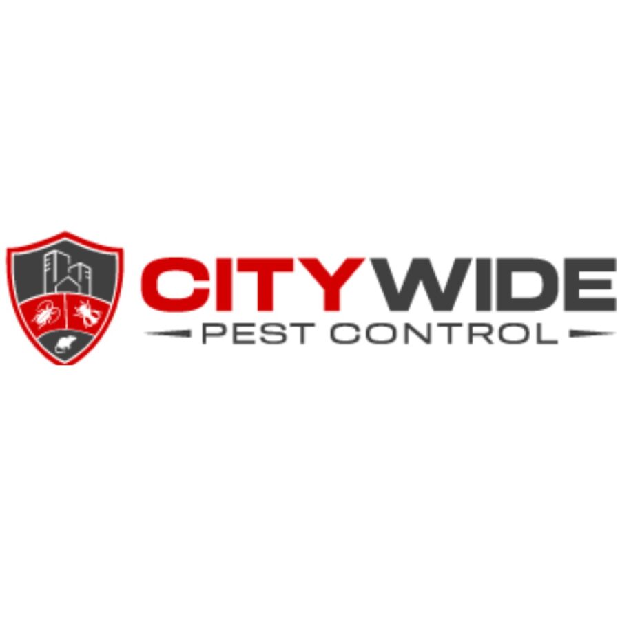 City Wide Bed Bug Control Sydney « WagPod