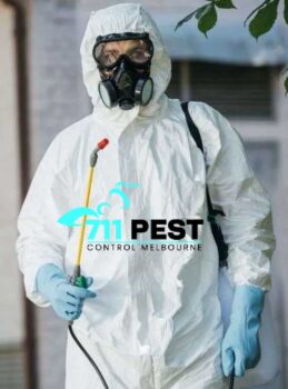 711 Pest Control Melbourne (5).jpg  