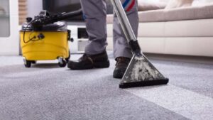 711 Carpet Cleaning Balmain (1).jpg  