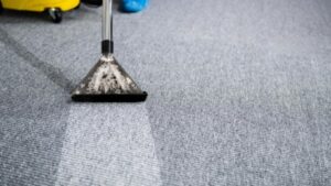 711 Carpet Cleaning Balmain (3).jpg  