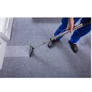 Carpet Cleaning (3).png  