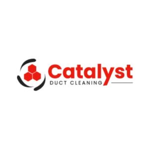 Catalyst Duct Cleaning (1).jpg  