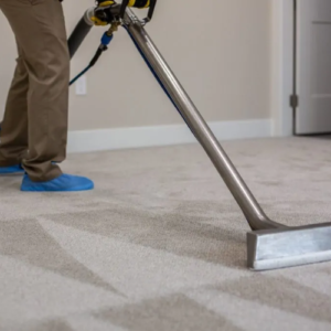 Carpet Cleaning .png  