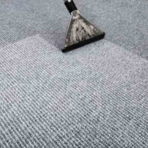 Carpet Cleaning (9).png  