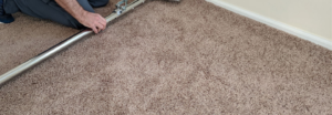 carpet Repair (2).png  