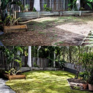 lawn-mowing-gardening-caloundra-1.jpg  