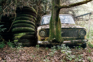 picture-derelict-abandoned-car-forest.jpg  