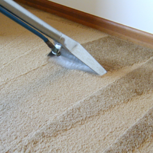 carpet cleaning (12).png  