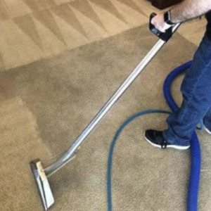carpet cleaning (14).png  