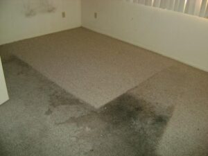 carpet cleaning987.jpg  