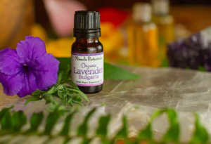lavender-essential-oil.png  
