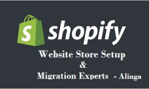 free-shopify-themes- Shopify Website Setup - Copy.jpg  