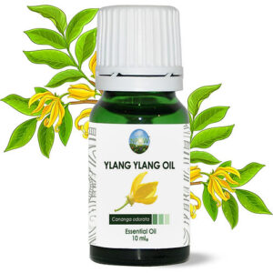 Ylang-Ylang Essential Oil - Cananga odorata .jpg  