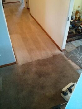 carpet cleaning in Murrieta.jpg  